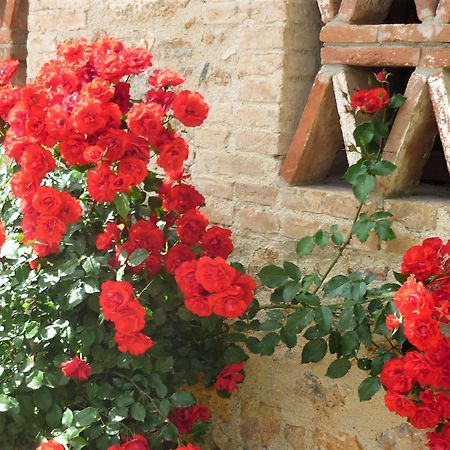 Fattoria Agriturismo Nerbona กาโซเล เดลซา ภายนอก รูปภาพ