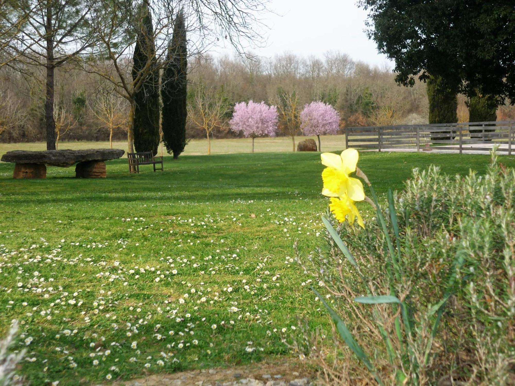 Fattoria Agriturismo Nerbona กาโซเล เดลซา ภายนอก รูปภาพ