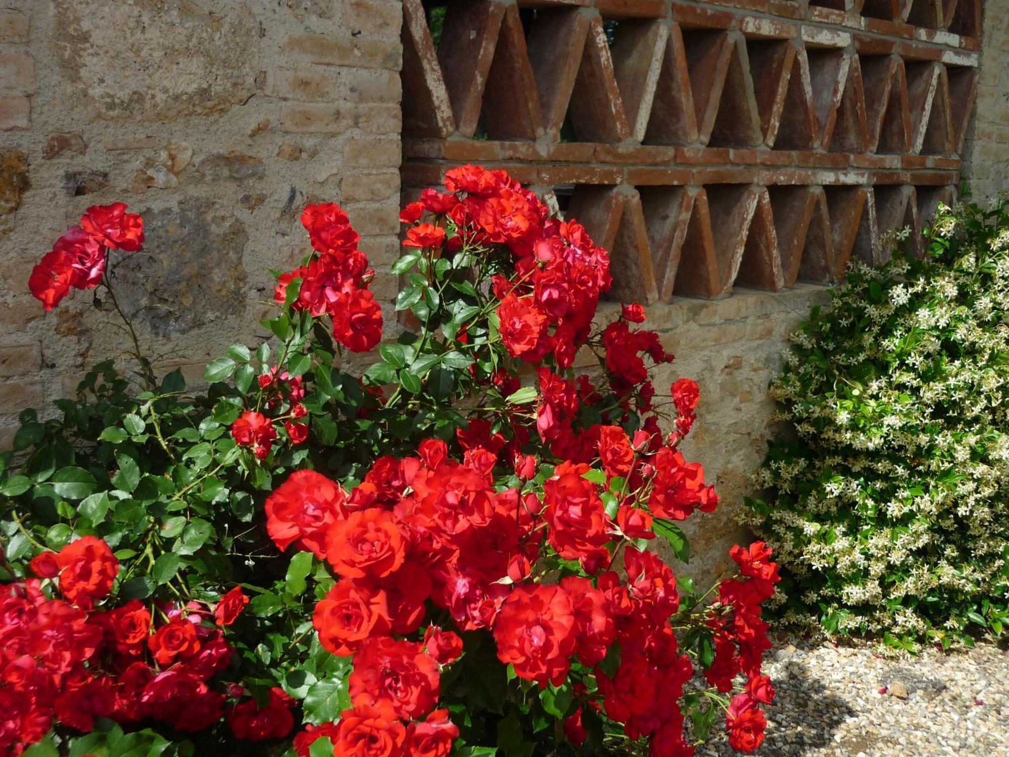 Fattoria Agriturismo Nerbona Villa กาโซเล เดลซา ภายนอก รูปภาพ