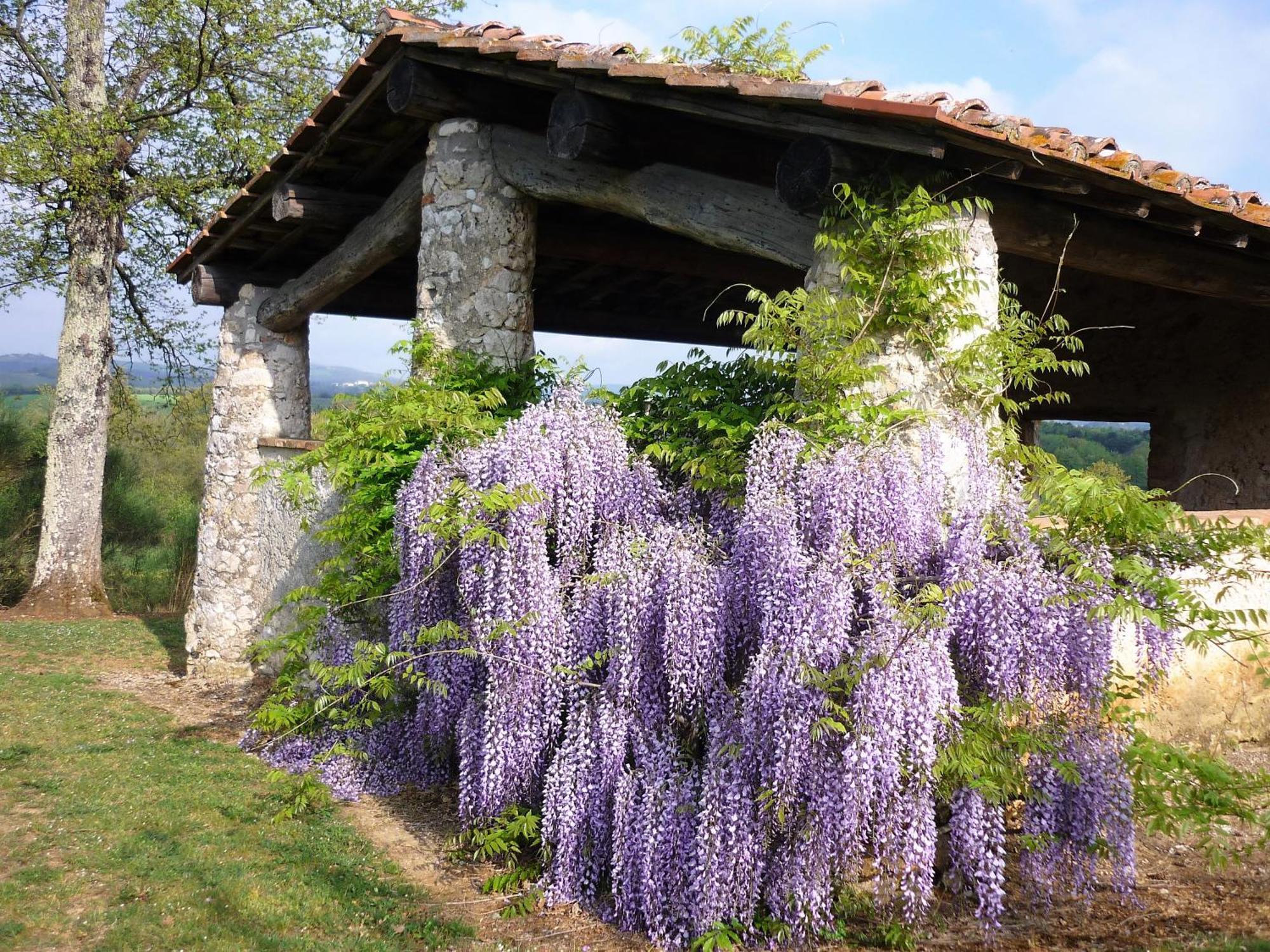 Fattoria Agriturismo Nerbona กาโซเล เดลซา ภายนอก รูปภาพ