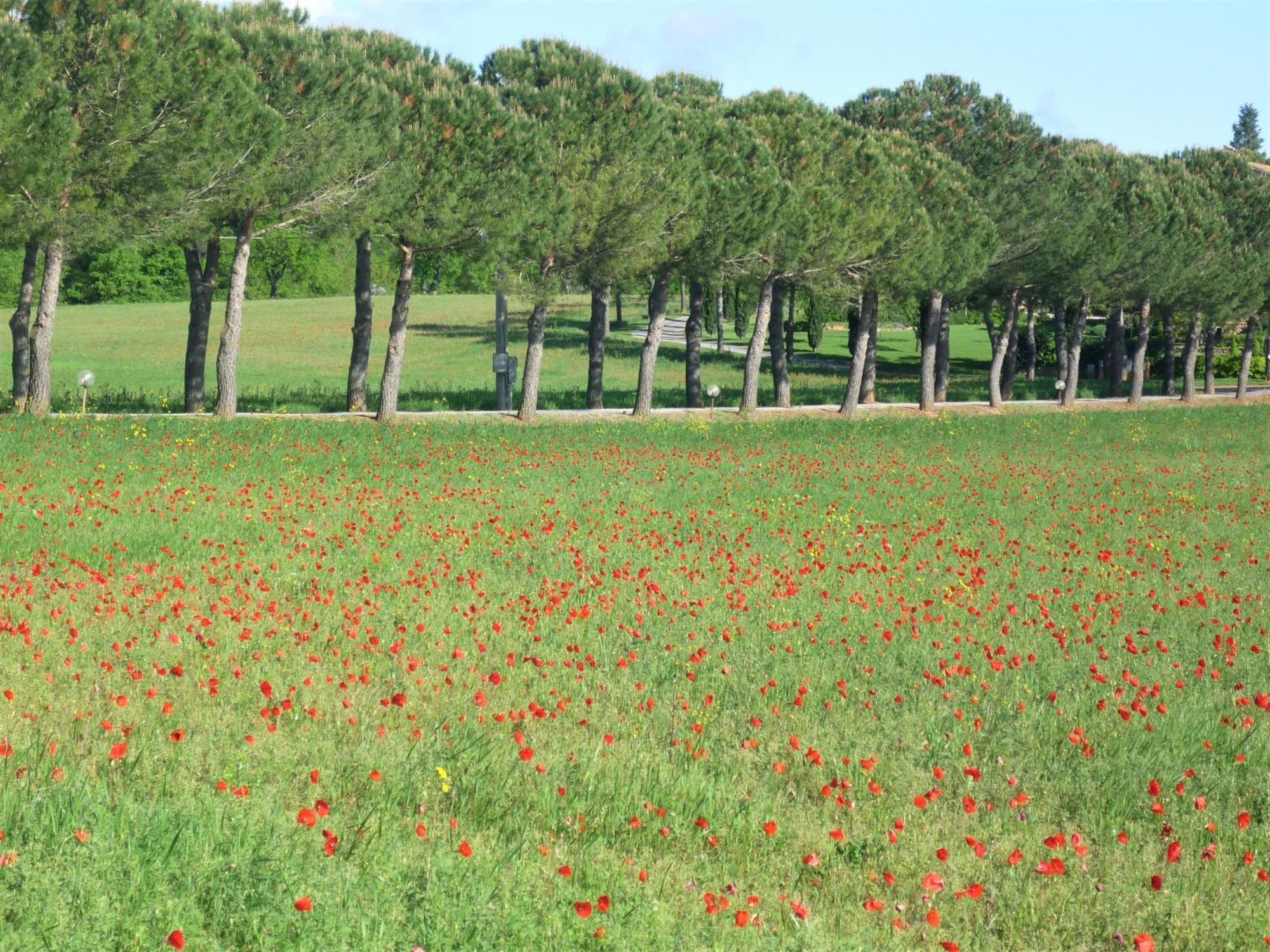 Fattoria Agriturismo Nerbona Villa กาโซเล เดลซา ภายนอก รูปภาพ