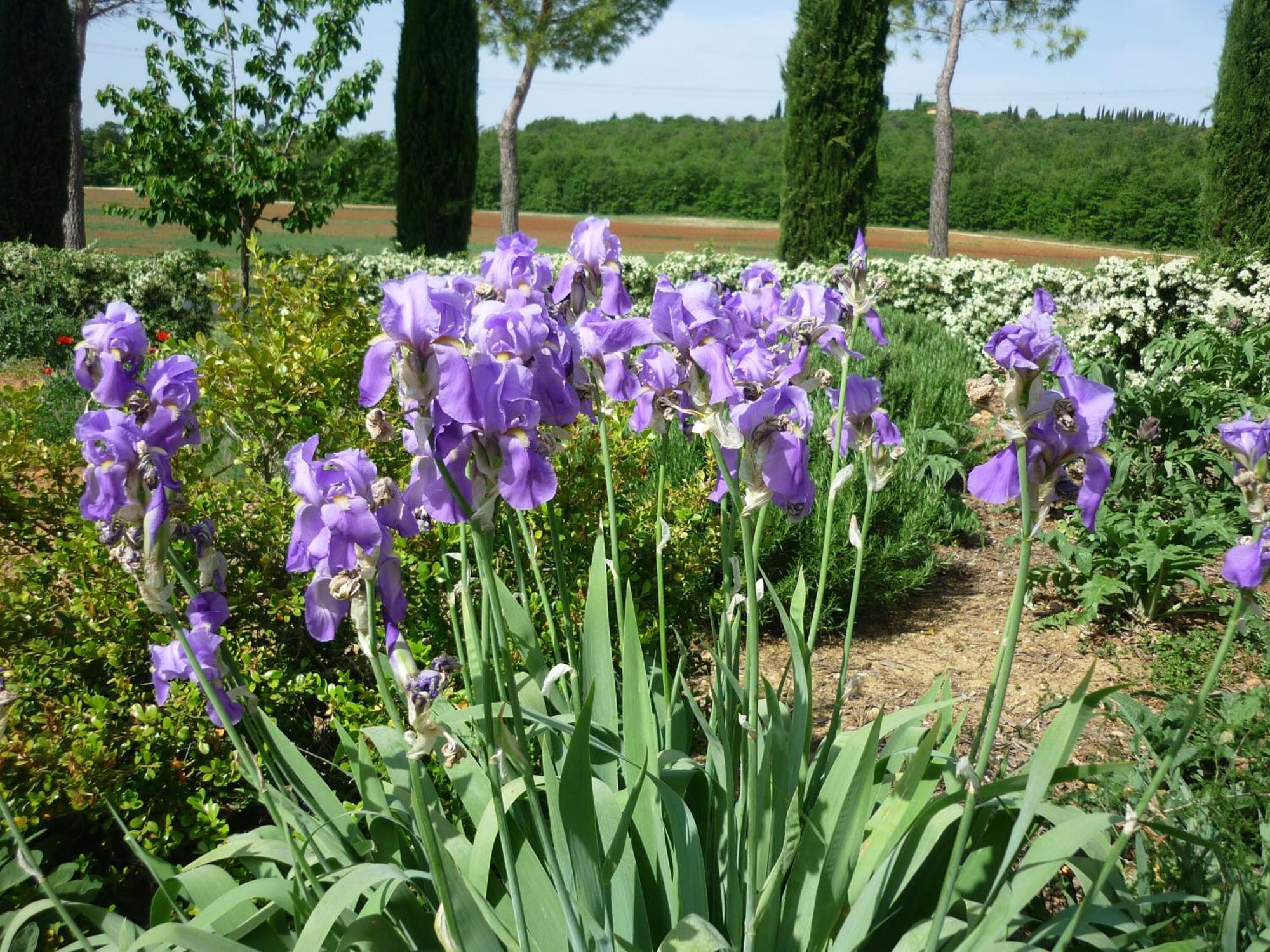 Fattoria Agriturismo Nerbona กาโซเล เดลซา ภายนอก รูปภาพ