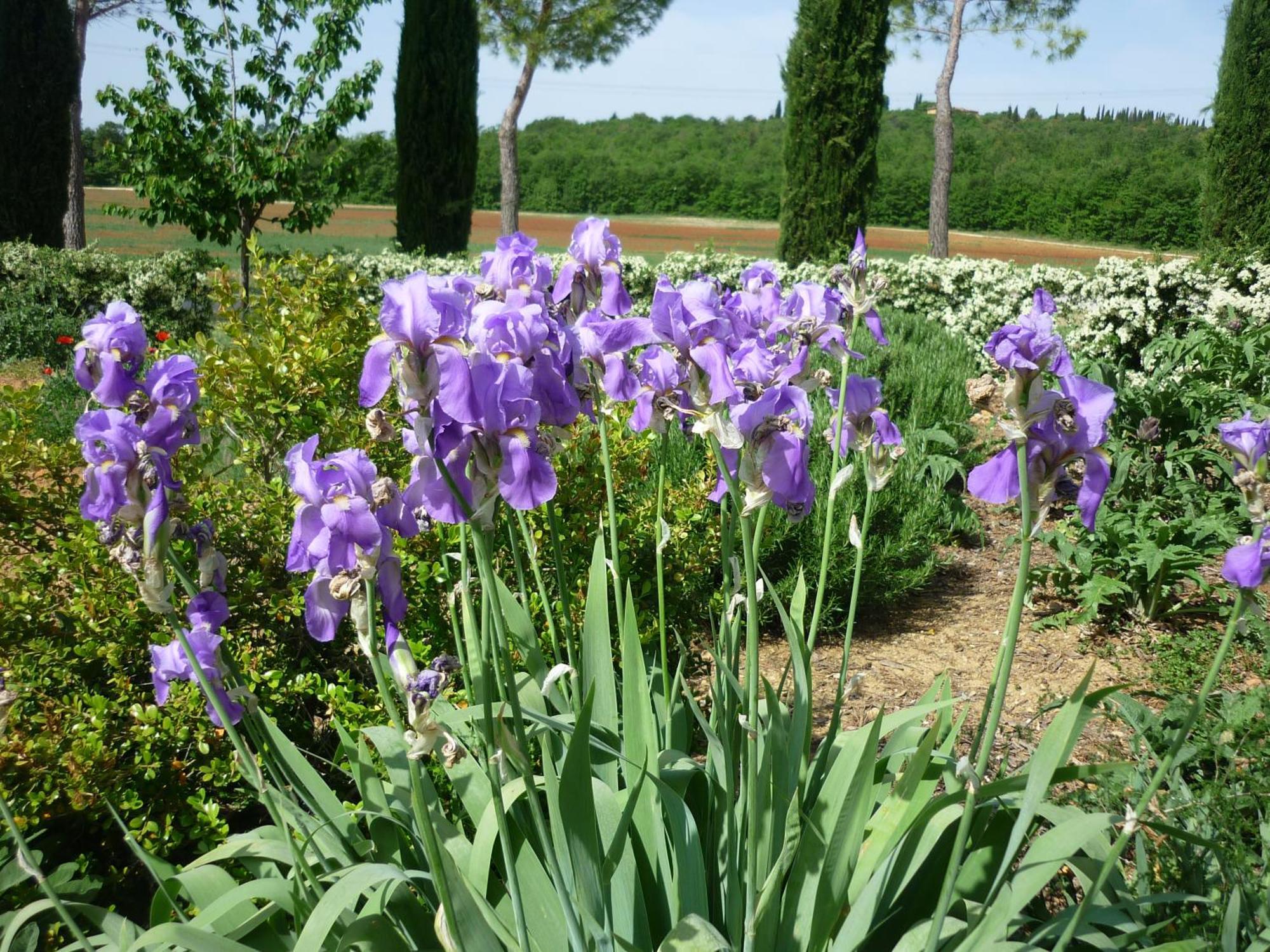 Fattoria Agriturismo Nerbona Villa กาโซเล เดลซา ภายนอก รูปภาพ