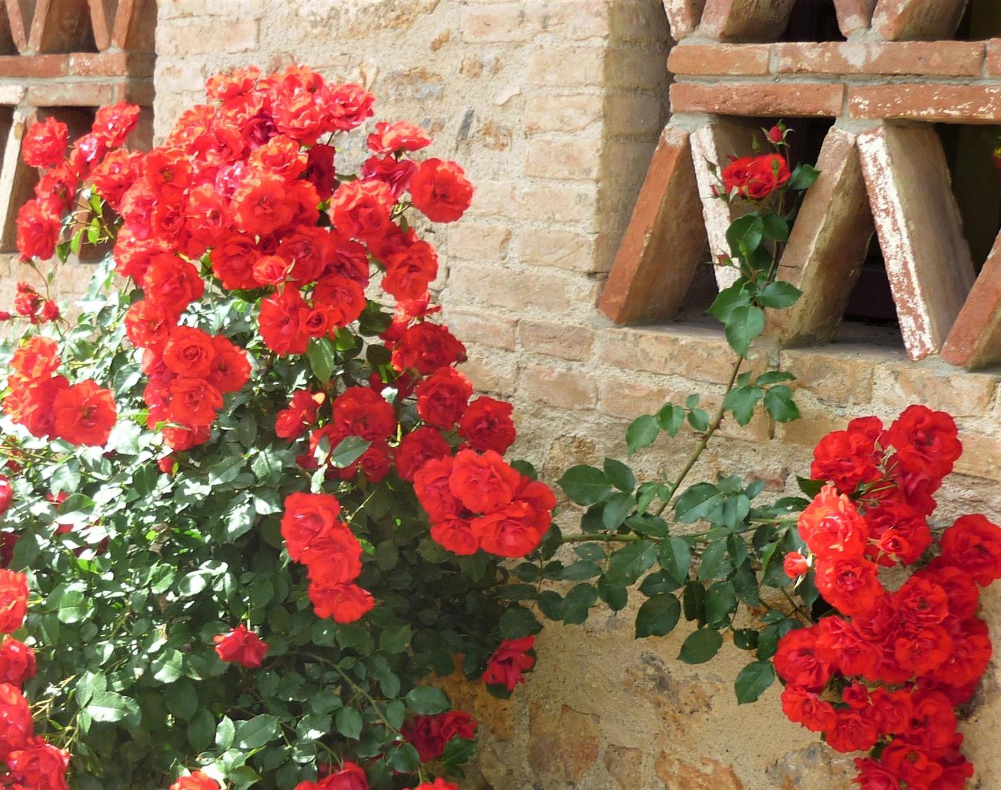 Fattoria Agriturismo Nerbona กาโซเล เดลซา ภายนอก รูปภาพ