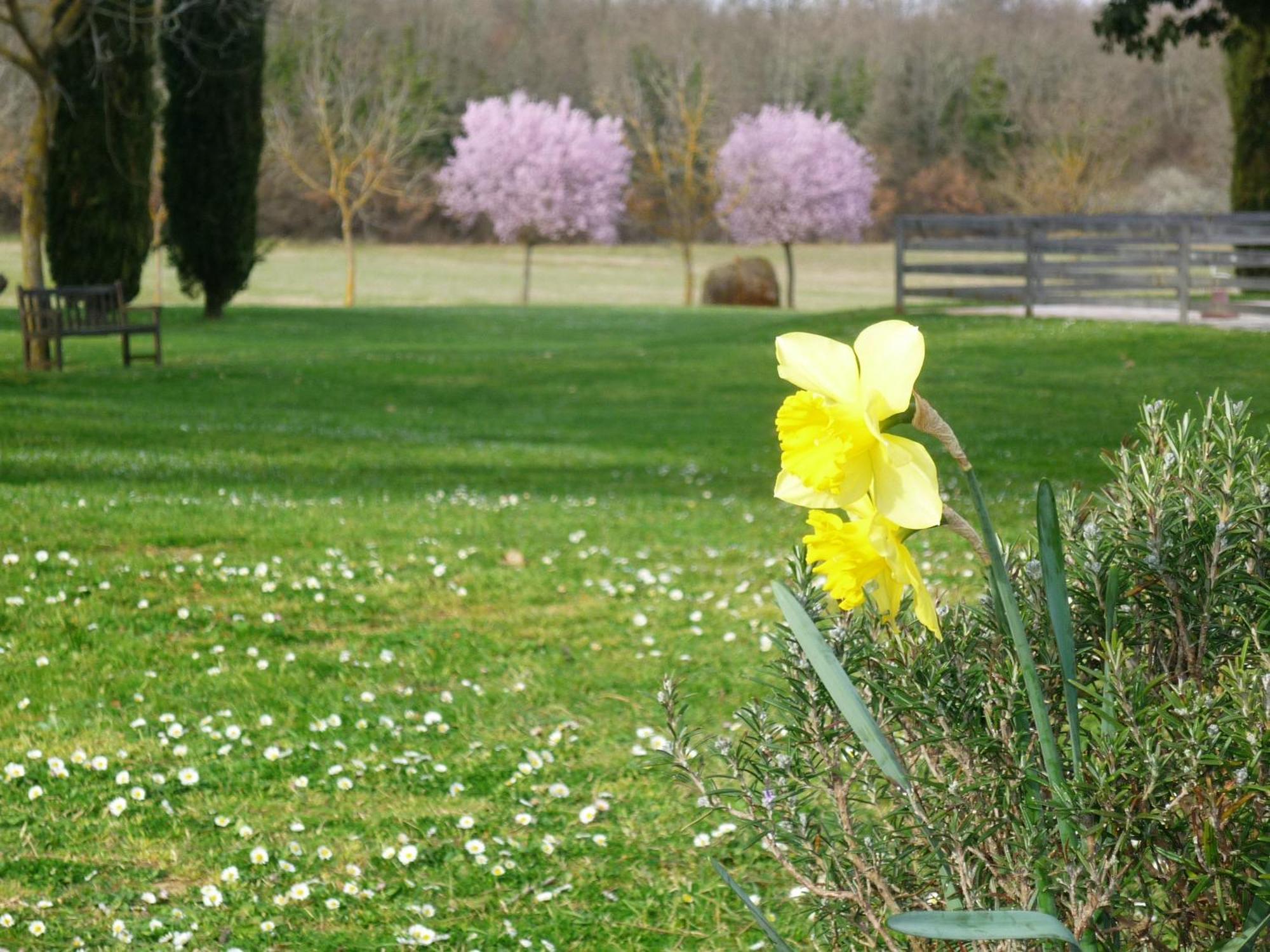 Fattoria Agriturismo Nerbona Villa กาโซเล เดลซา ภายนอก รูปภาพ