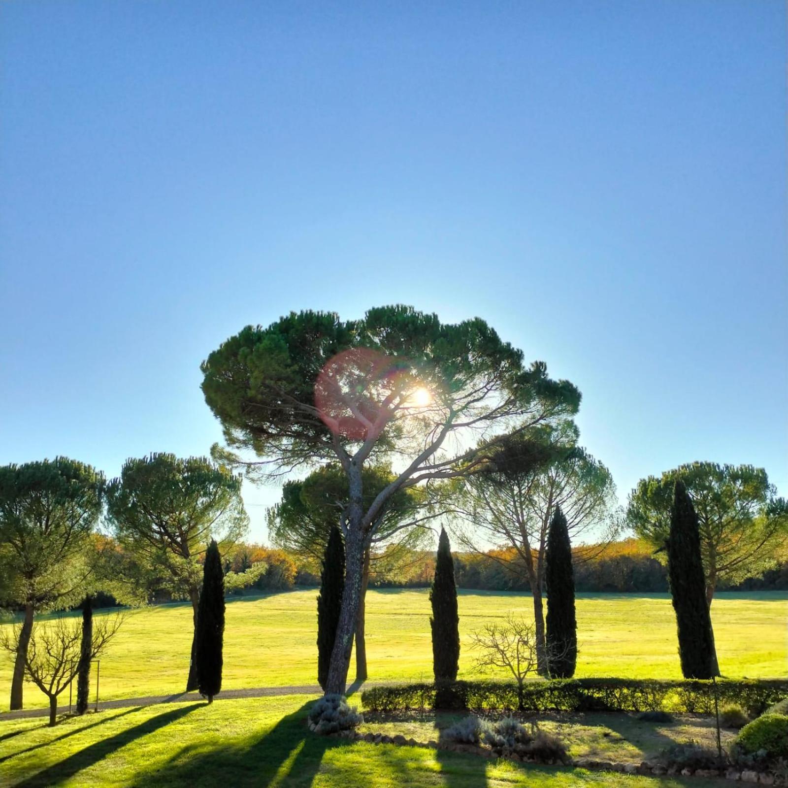 Fattoria Agriturismo Nerbona กาโซเล เดลซา ภายนอก รูปภาพ